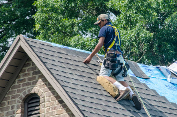 Residential Roof Replacement in Alto, GA